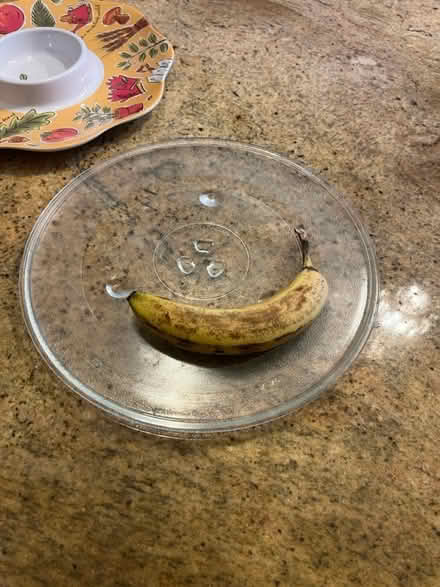 Photo of free Trays, microwave turntable (Old ottawa south) #2