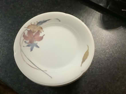 Photo of free Anatole Fine Porcelain China (Gorleston NR31) #1