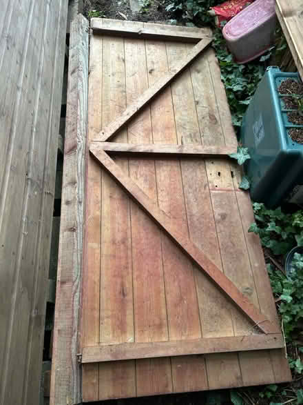 Photo of free Shed door (Northmoor OX29) #2