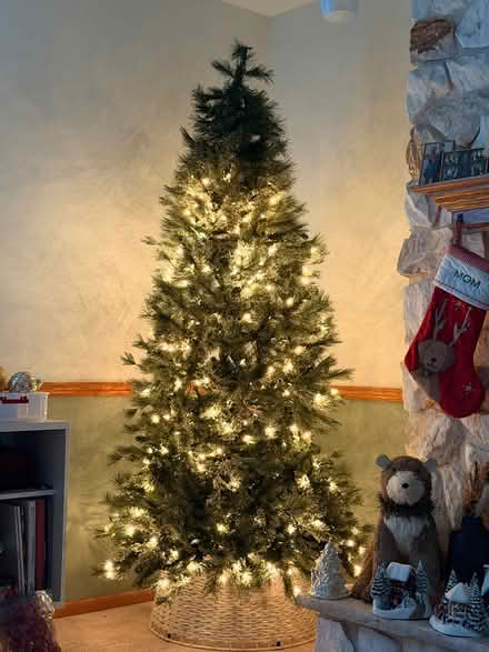 Photo of free Christmas tree (Oakwood/shepard area) #1