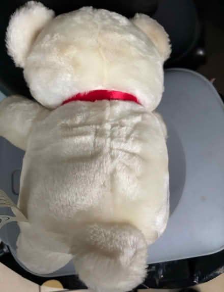 Photo of free Cream Teddy Bear (Westbury Wilts BA13) #2