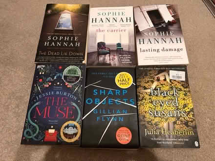 Photo of free Sophie Hannah, etc fiction books (Hemel, HP3) #1