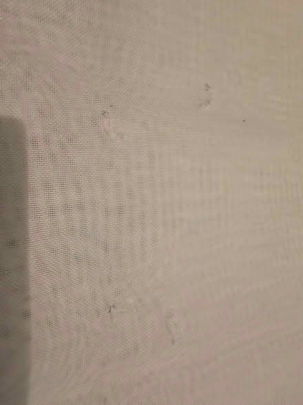 Photo of free Net curtain (Lower Morden SM3) #2