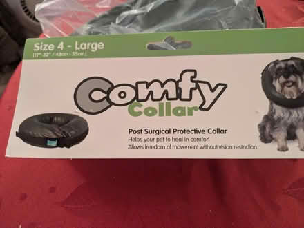 Photo of free Dog Comfy Colar (Grantham) #1
