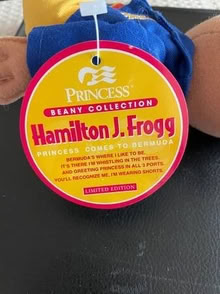 Photo of free Hamilton J. Frogg Plush Toy (Tiburon - near Corte Madera) #2