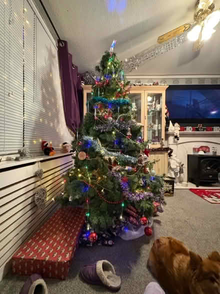 Photo of free 7ft Christmas tree (HP2) #1