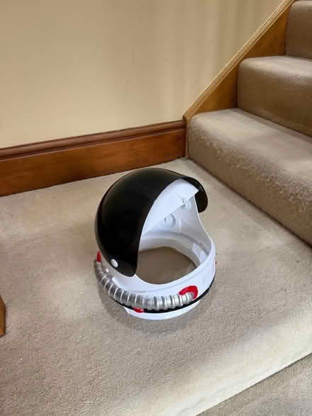 Photo of free Plastic astronaut helmet (Blewbury OX11) #1