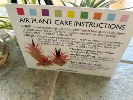 Photo of free Multiple plants (Damascus,MD) #4