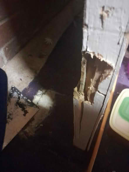 Photo of free Internal door, damaged (Smiths Estate OX28) #3