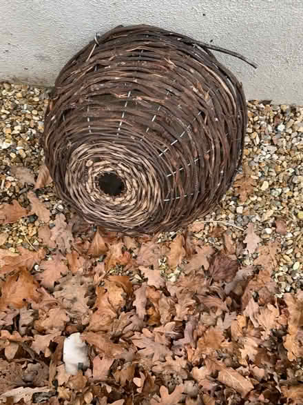 Photo of free Small hanging basket (Burgess Hill RH15) #1