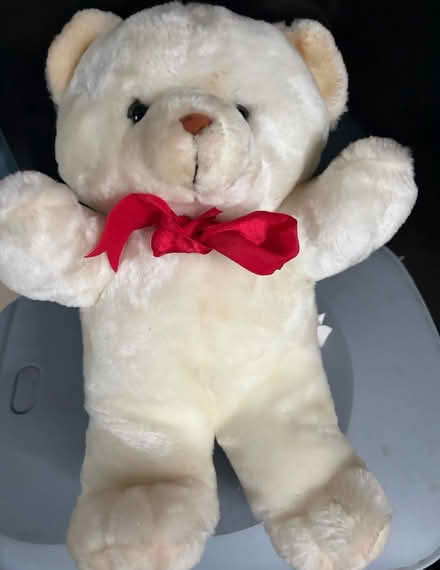 Photo of free Cream Teddy Bear (Westbury Wilts BA13) #1