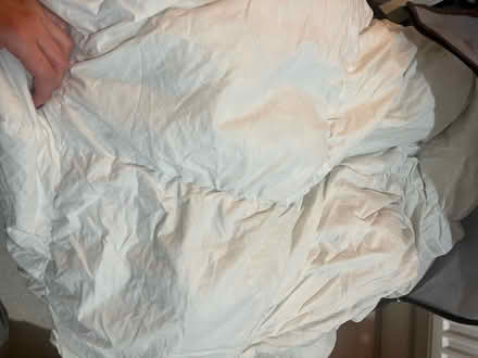 Photo of free Two single duvets and a pillow (Angel EC1) #3