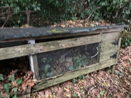 Photo of free Animal hutch (Chineham RG24) #1