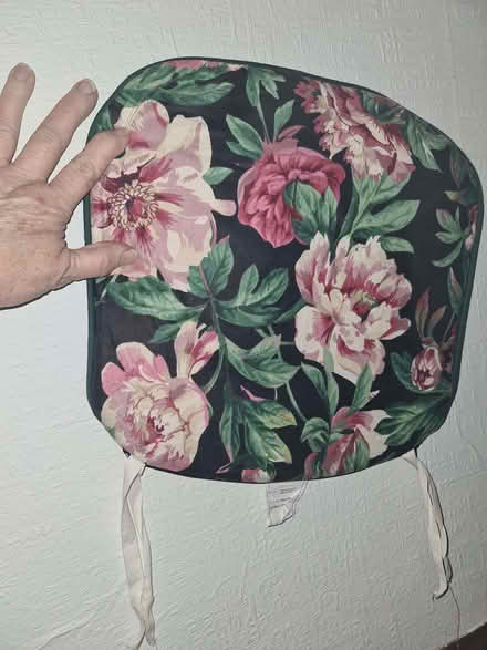 Photo of free 2 cushioned chair pads (Dalston E8) #1