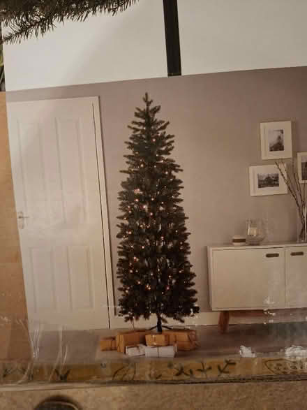 Photo of free Christmas tree (not pre-lit) (Dronfield Woodhouse S18) #4