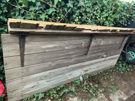 Photo of free Shed door (Northmoor OX29) #1