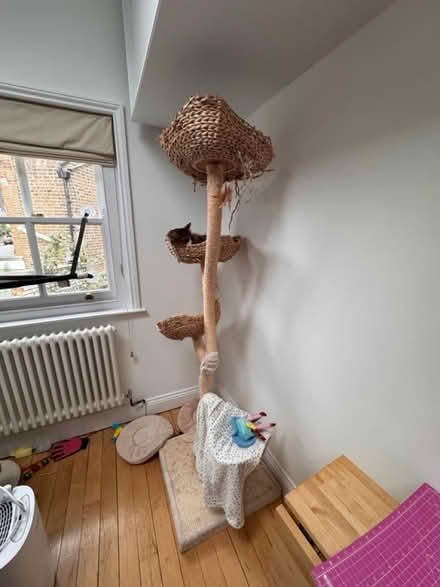 Photo of free Cat Tree - 6ft (Newington Green, Islington) #1