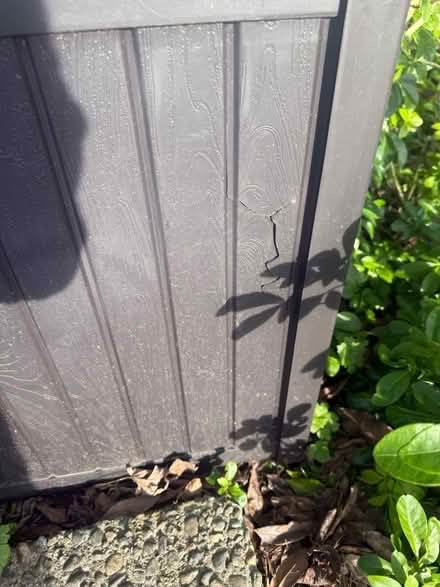 Photo of free Storage/ Delivery Box (Magnolia Seattle 98199) #3