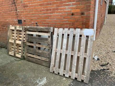 Photo of free Pallets (co12np) #1