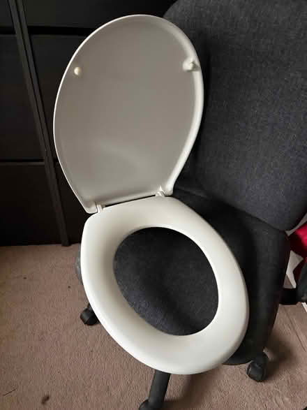 Photo of free White standard toilet seat (Droitwich WR9) #3