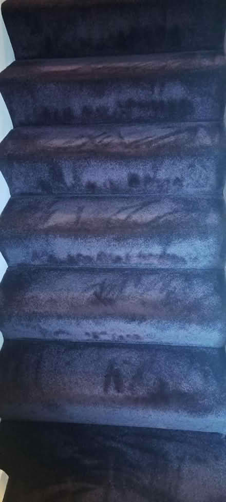 Photo of free Purple carpet (Whickham NE16) #4