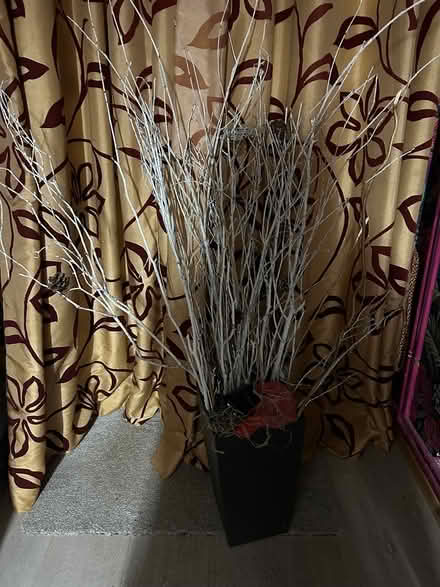 Photo of free Xmas twigs - lights and snowflakes (Southbourne, near Emsworth) #1