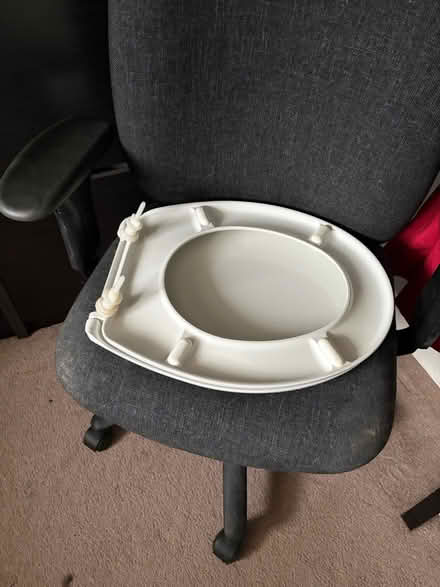 Photo of free White standard toilet seat (Droitwich WR9) #2