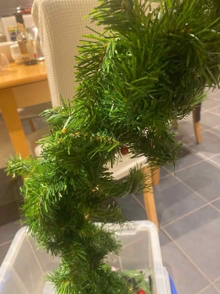 Photo of free Green garland (Cumnor OX2) #1