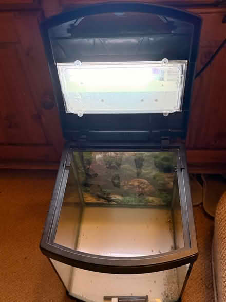 Photo of free Small Fish Tank (New Southgate, N11) #4