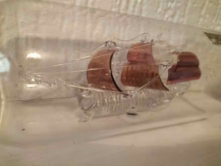 Photo of free Shape in a bottle (Wollaton NG8) #2