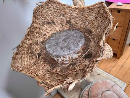 Photo of free Cat Tree - 6ft (Newington Green, Islington) #3