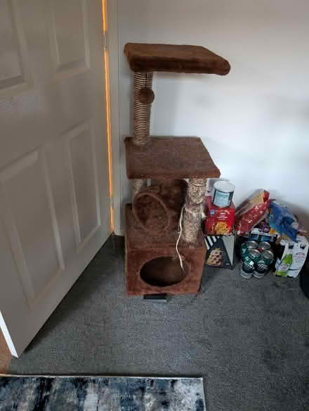 Photo of free Cat scratching post (Cawston CV22) #1