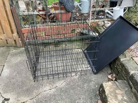 Photo of free Dog crate (Chesterfield S41) #2