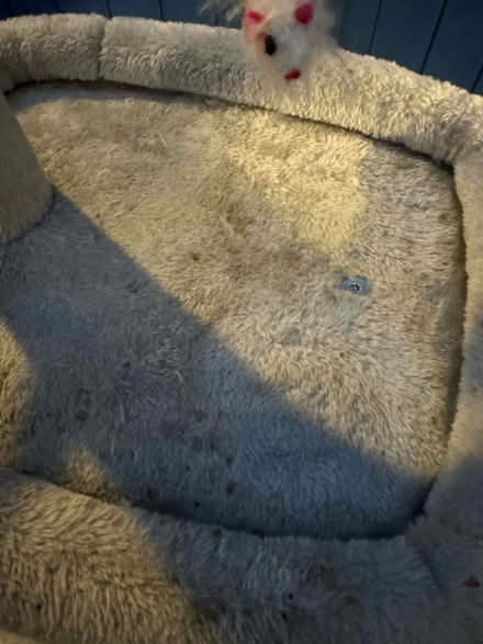 Photo of free Cat tree (Tilehurst RG30) #3