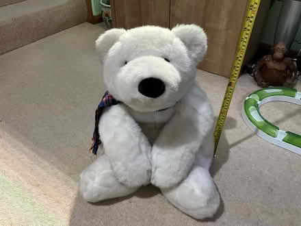 Photo of free Polar Bear Soft Toy (Hertford SG14) #1
