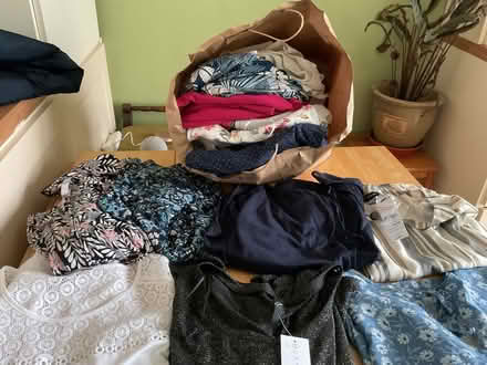 Photo of free Clothes sizes 24 - 28 (Chesterfield S41) #1
