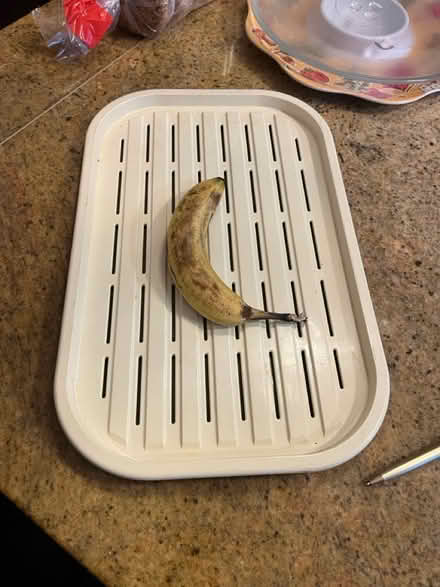 Photo of free Trays, microwave turntable (Old ottawa south) #3