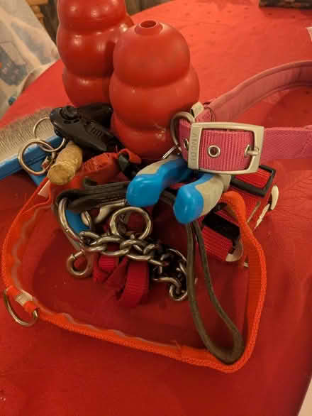 Photo of free Various Dog Items (Grantham) #1