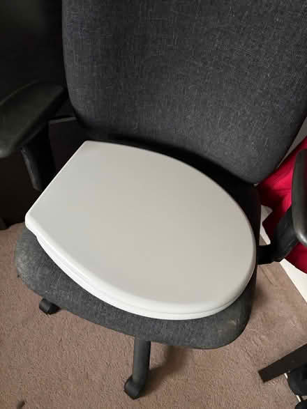 Photo of free White standard toilet seat (Droitwich WR9) #1