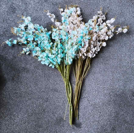 Photo of free Fake flowers (orchids) (Bellahouston G51) #1