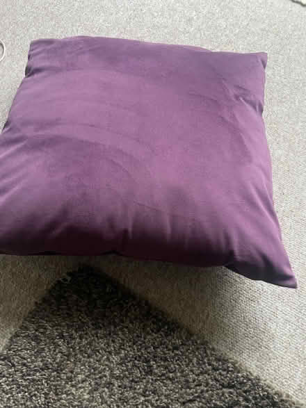 Photo of free Cushion (GL116JR cam) #1