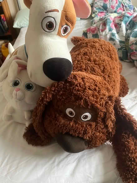 Photo of free Cuddly toys (Kilburn Derbyshire DE56) #1