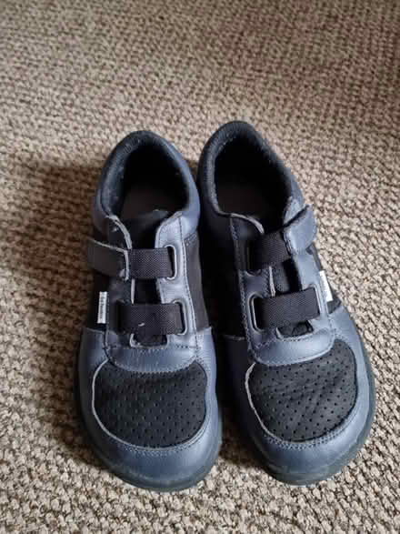 Photo of free Boy's barefoot shoes (Croydon) #1