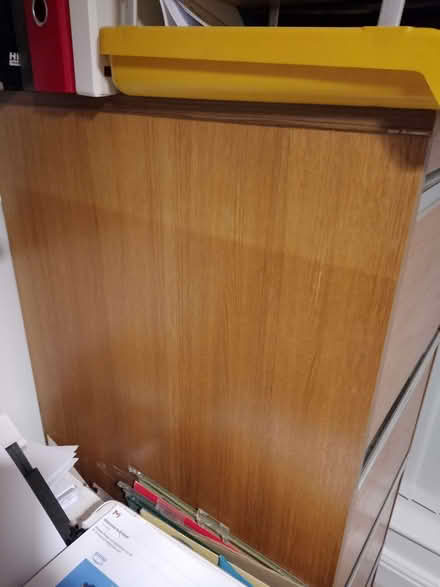 Photo of free Large filing cabinet (Park Gate SO31) #2