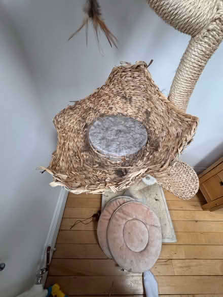 Photo of free Cat Tree - 6ft (Newington Green, Islington) #2