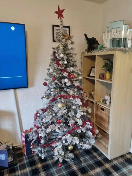Photo of free Xmas tree (Halifax) #3