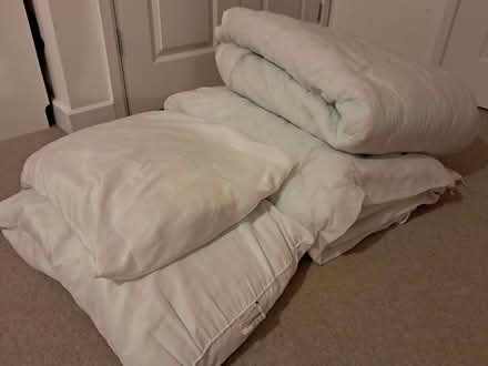 Photo of free 2 duvets and 2 pillows (Central Reading RG1) #1