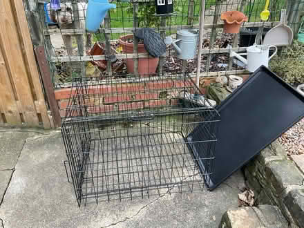 Photo of free Dog crate (Chesterfield S41) #1