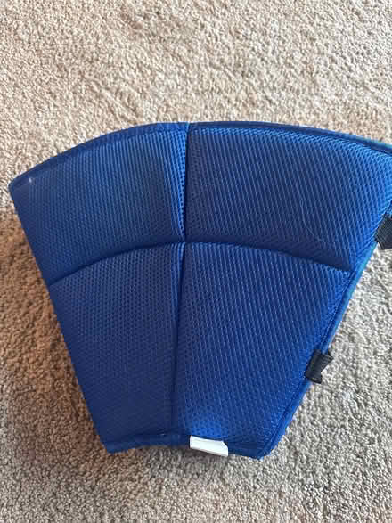 Photo of free Dog recovery collar (new) (Hackney Wick E3) #1