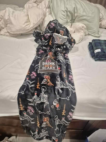 Photo of free Halloween Blanket (Abington) #2